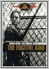 Fugitive Kind (The)